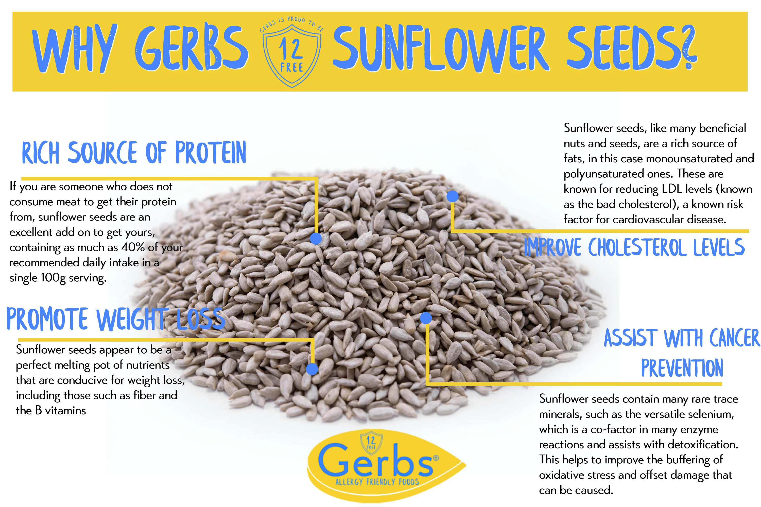 Unsalted Roasted Sunflower Seed Kernels by Gerbs - 2 LBS. - Top 14 Food Allergen Free & NON GMO - Vegan & Kosher