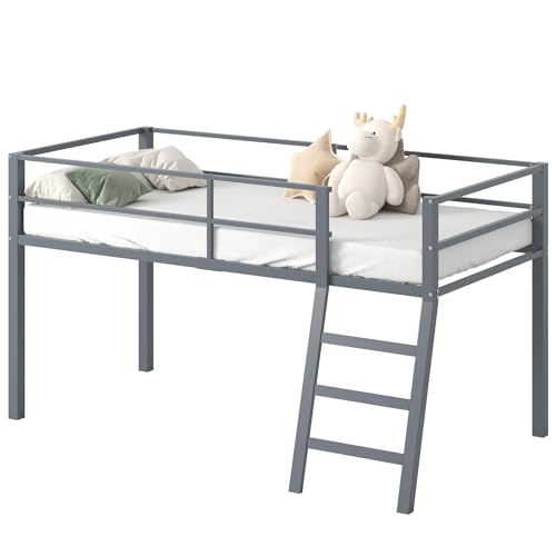 Low Metal Twin Loft Bed with Ladder and Guardrail for Kids or Teens, Space Saving Loft Bed Twin Size for Small Bedroom, Grey