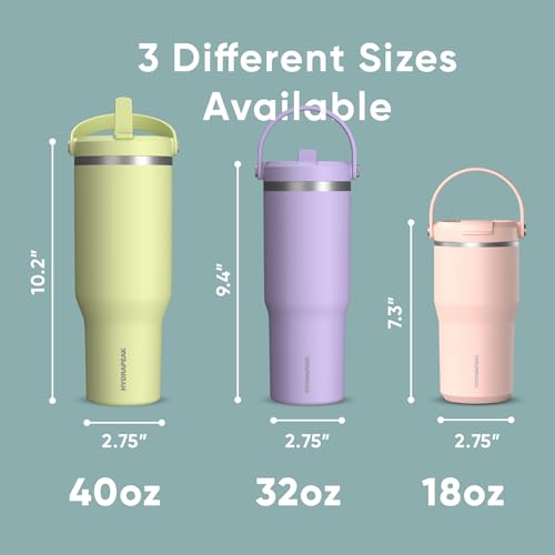 Hydrapeak Nomad 24 oz Tumbler with Handle and Straw Lid, Leakproof, Double Insulated, 24oz Cup Stainless Steel (Blush)