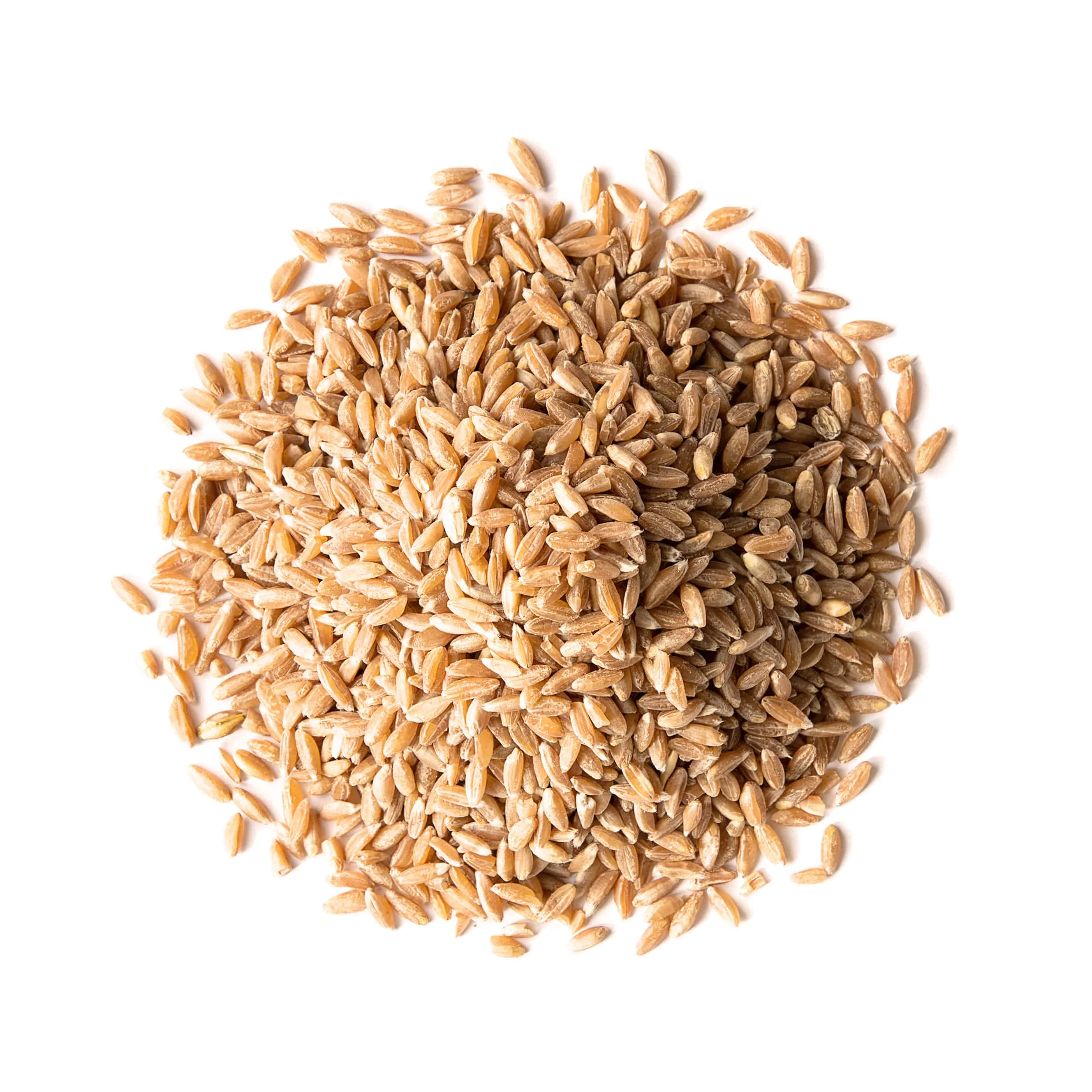 Spelt Berries, 10 Pounds – Rich in Fiber, Protein, and Iron. Made in USA