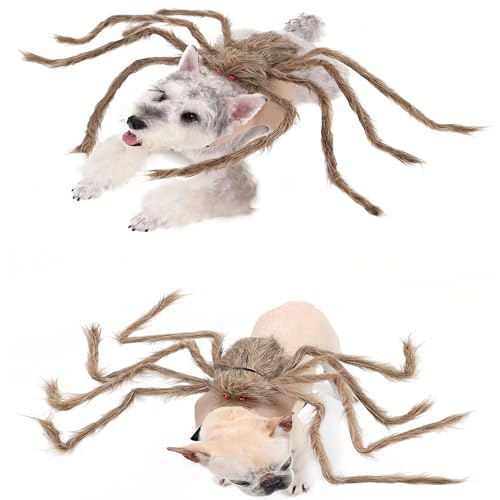 Halloween Spider Pet Costume for Cats & Dogs – Adjustable Velcro Harness with Giant Furry Legs, Funny Puppy & Kitty Cosplay Outfit (S-M-L Sizes) (Black & Purple, Medium)