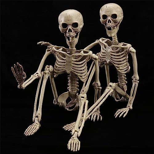 2 Pack 40 Inches Halloween Skeleton Life Size Full Body Realistic Posable Movable Jonints for Halloween Party Decoration Décor