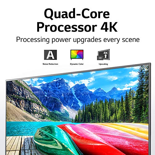 LG 43UN7300PUF Alexa Built-in 43 inch 4K Ultra HD Smart LED TV 2020