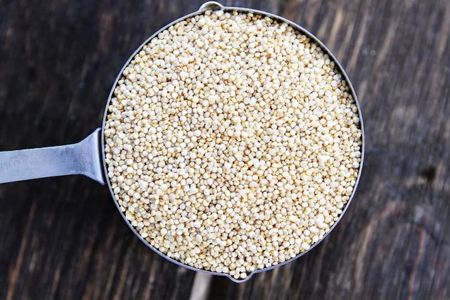 Bulk White Quinoa Seeds 5 Pound Wholesale Box