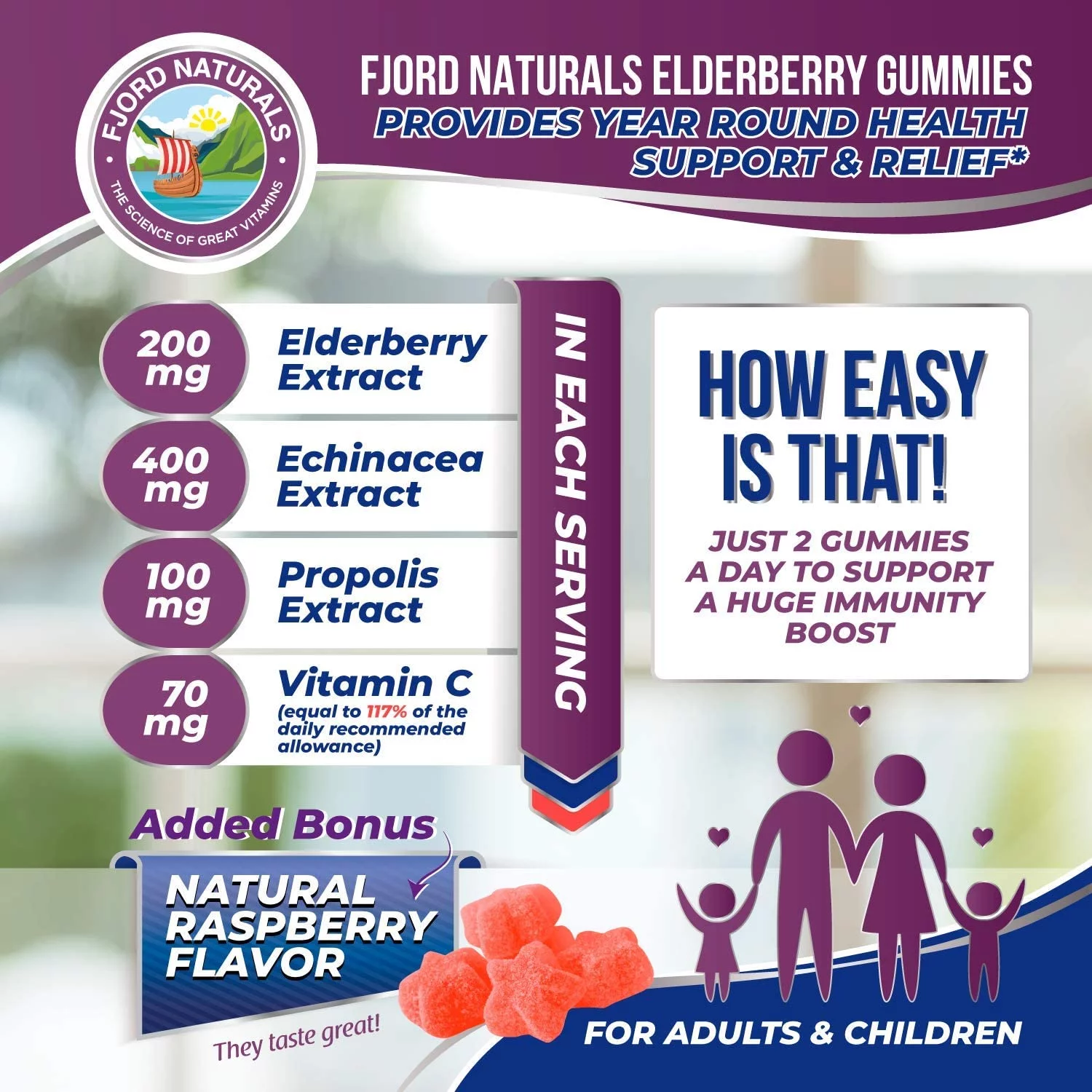 Fjord Naturals-Elderberry Gummies(2 Pack)-120 Count| Immune Support |Elderberry, Vitamin C, Echinacea & Propolis
