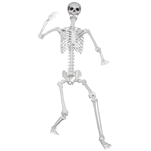 5.4ft/165cm Posable Halloween Skeleton, Life Size Skeleton Bones with Movable Joints for Halloween Graveyard Haunted House Spooky Scene Decor, 1pc