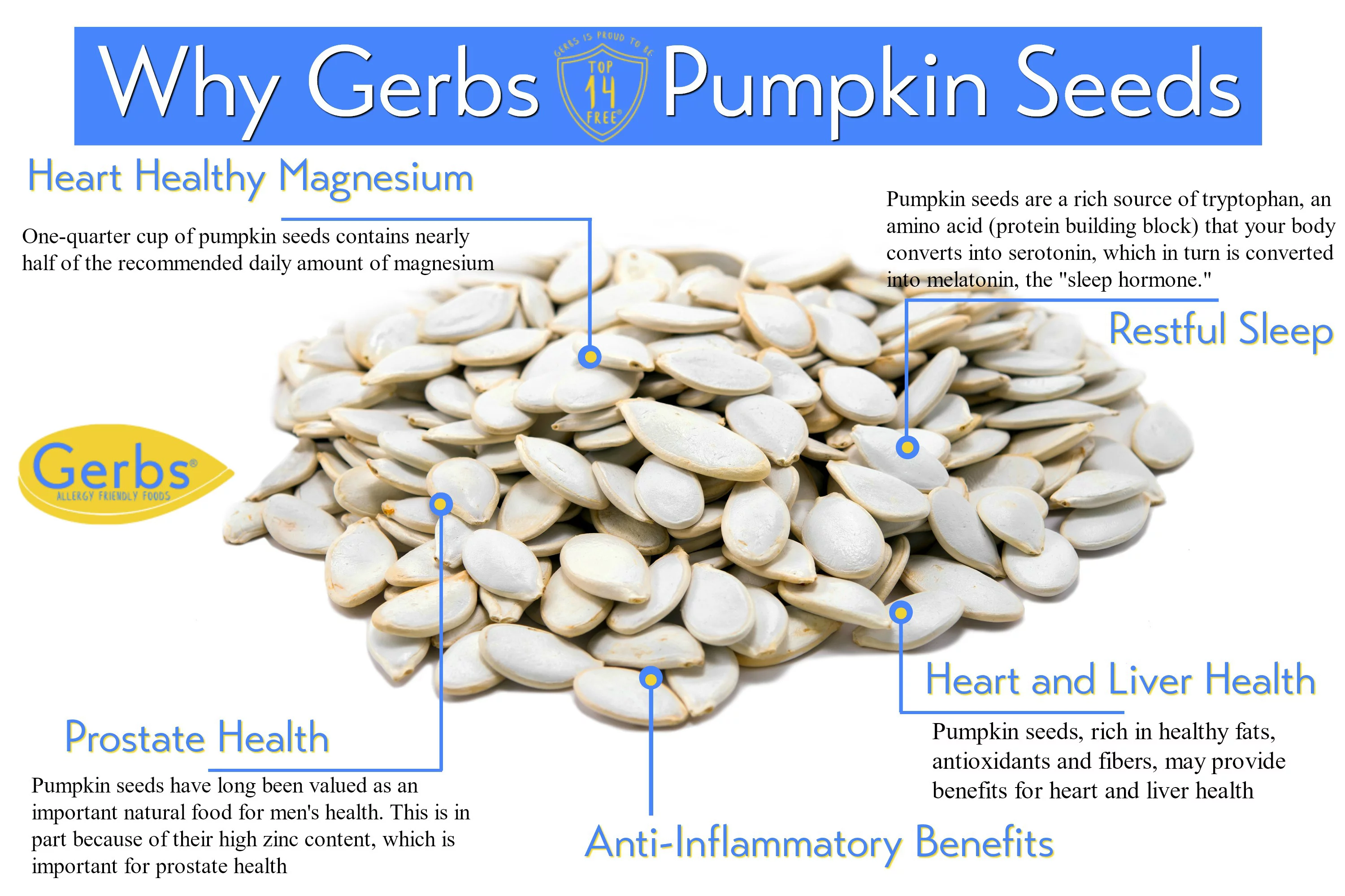 Jumbo Raw Pumpkin Seeds In Shell by Gerbs - 2 LBS - Top 14 Food Allergen Free & Non GMO - Vegan & Kosher