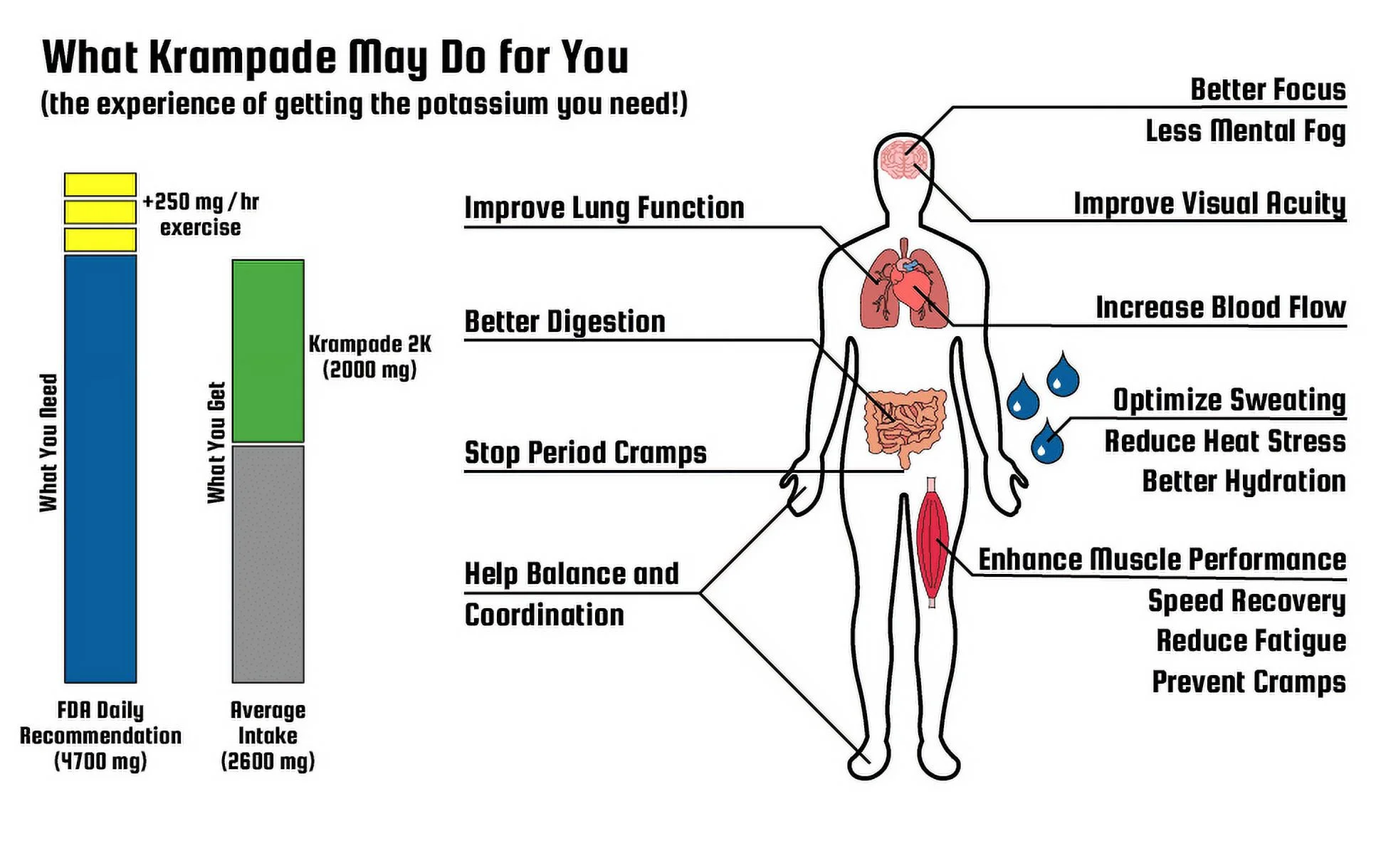 Krampade Fiber 2K High Soluble Fiber, High Potassium, Magnesium Drink Powder Mix (Lemon-Lime, 19 Serving Bulk Pouch)