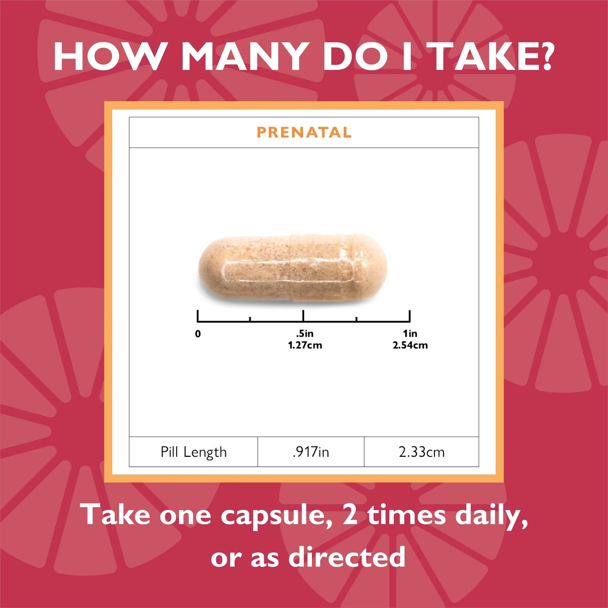 Celebrate Vitamins Bariatric Prenatal Vitamins with Folate (Folic Acid), Vitamin A, Iron, and Choline, 60 count