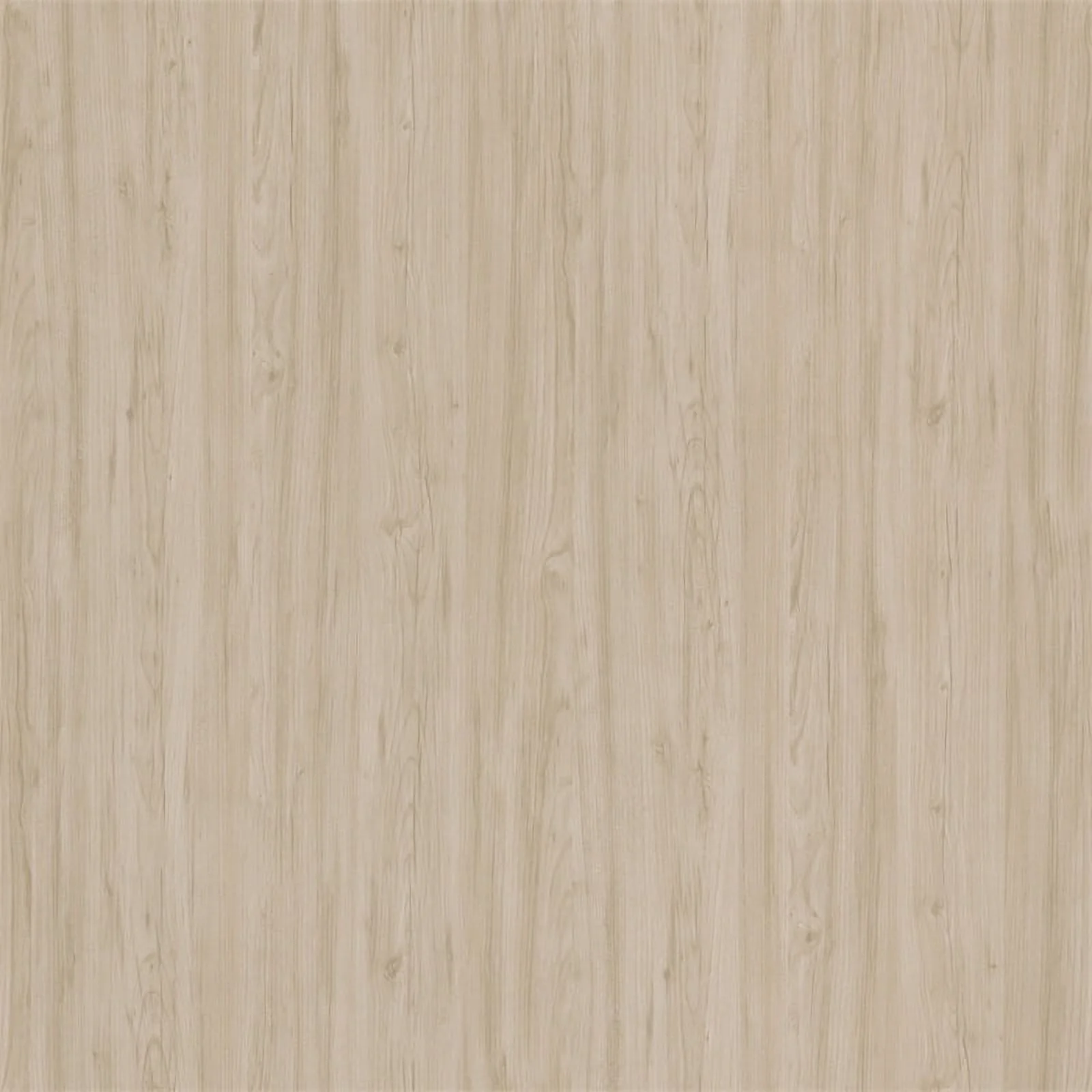 Bowery Hill 48W Adjustable Standing Desk in Natural Elm - Engineered Wood