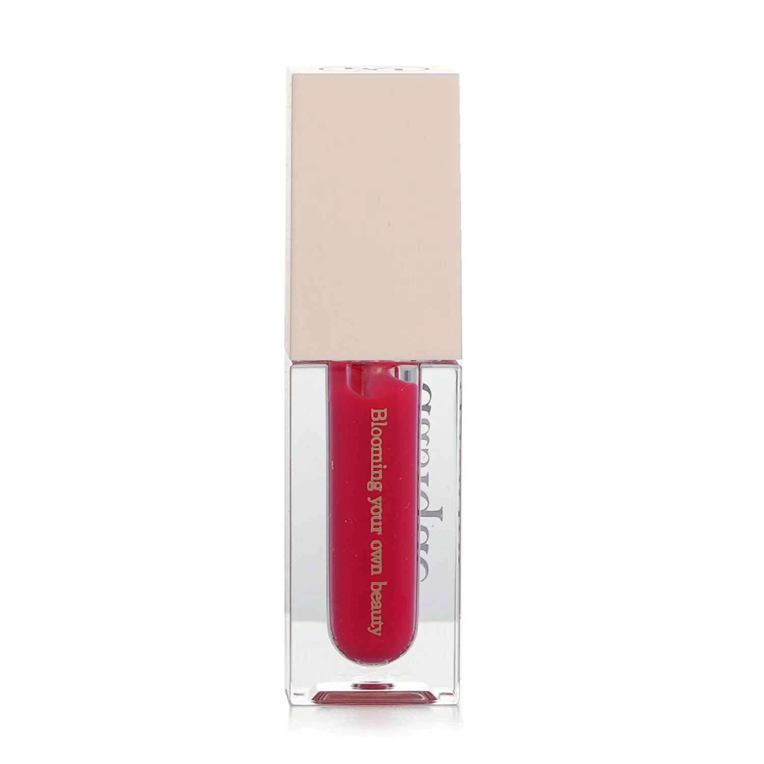 Dasique Water Gloss Tint - # 05 Evening Dew  3g/0.1oz