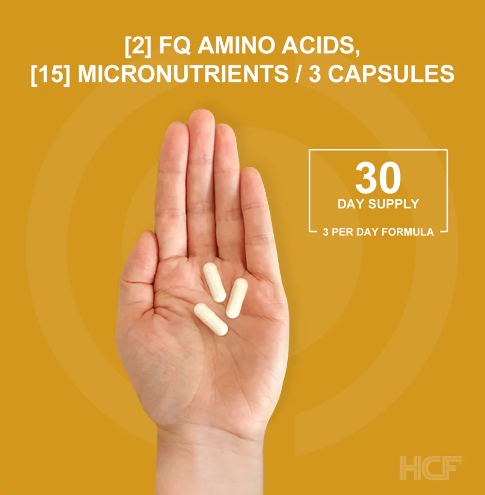 HCF Happy, Calm & Focused - Brain Focus, Attention, Concentration & Mood Supplement (3-Pack) - FQ Foundation Amino Acids, Vitamins & Minerals - 100% No Herbal Stimulants - Non-GMO Project Verified