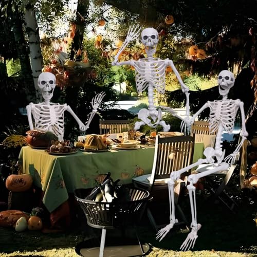 2Pack 5.4Ft Life Size Skeletons Posable Skeletons Full Size Plastic Human Skeleton with Movable Joint for Halloween Outdoor Indoor Decorations