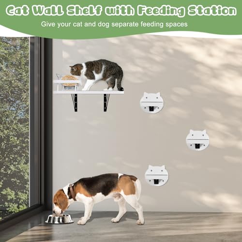 Brand Cat Wall Shelves with 3 Steps & Scratch Post, Includes 2 Food Shelves