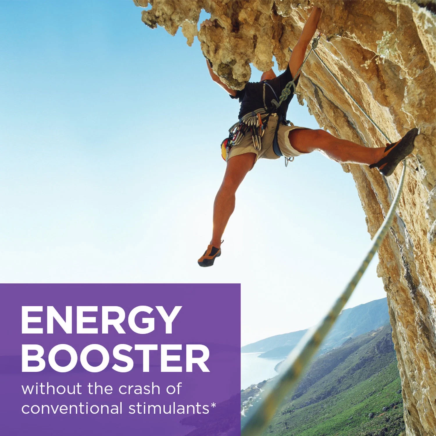 New Chapter Fermented B Complex 30 count