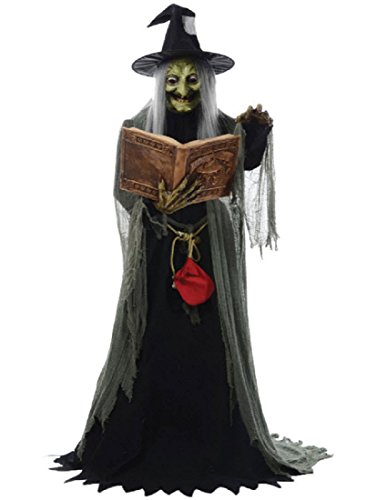 Morris Costumes Animated Witch