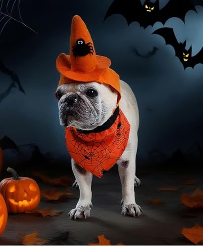 Dog Halloween Costumes,2Pcs Set Witch Hat and Bandana with Pumpkin Spider and Bat,Adjustable Fanny Dog Clothes,Headgear for Small Midum and Large Dogs,Puppy,Cats,Pets,Black,L