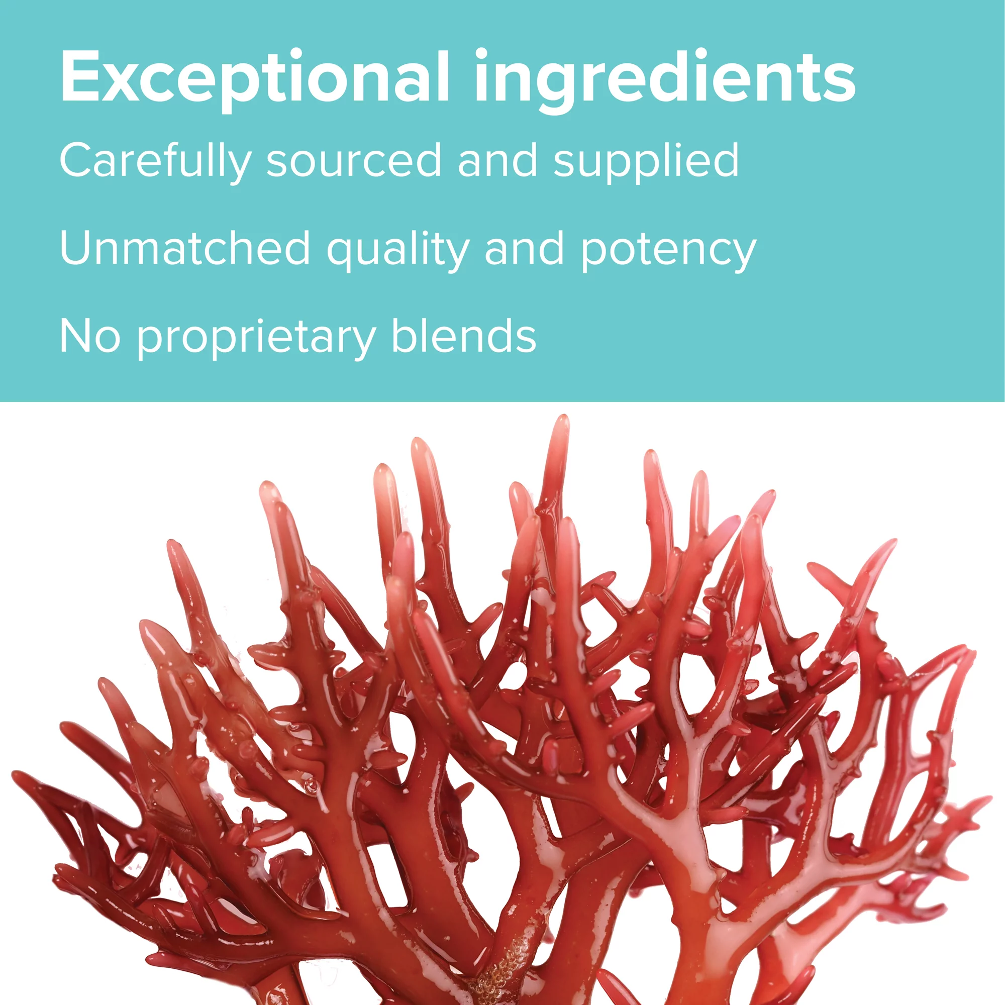 Gigartina RMA 250 mg, 120 count