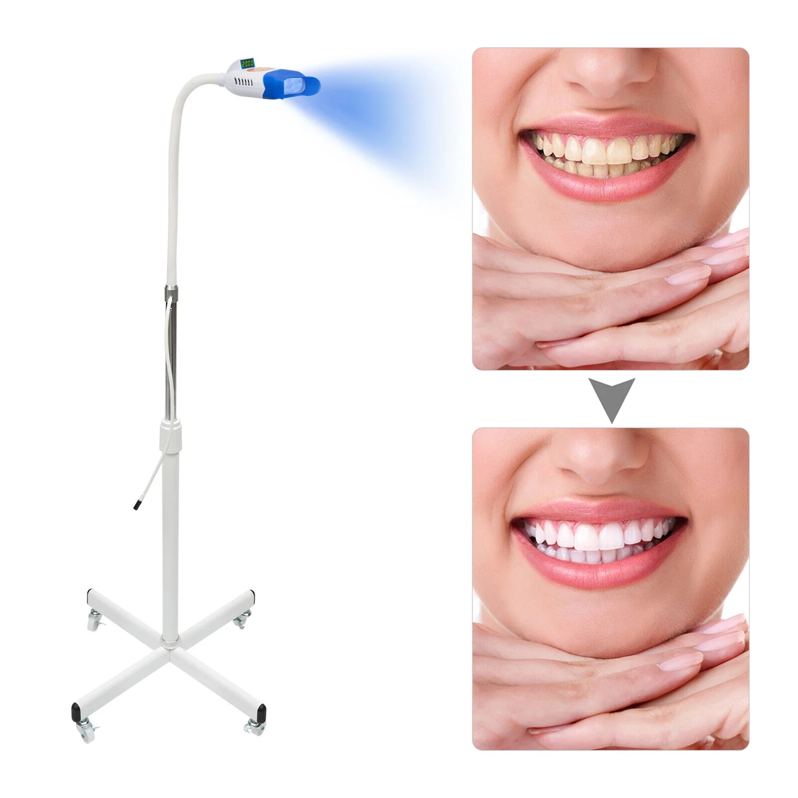 Mobile Pro Teeth Whitening Machine LED Light 36W Dental Teeth Whitening Lamp New,10 Tubes LED