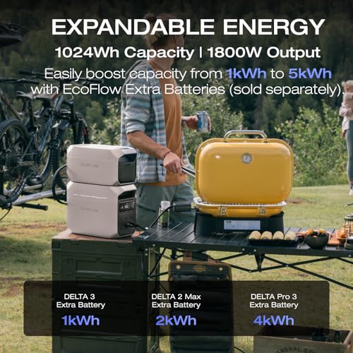 EF ECOFLOW 800W Alternator Charger, 3-in-1 Fast DC-DC Charger for Portable Power Stations, Vehicle Battery Charger & Jump Starter 8× Faster Than Cigarette Chargers, Charges 1kWh in 1.3 hr