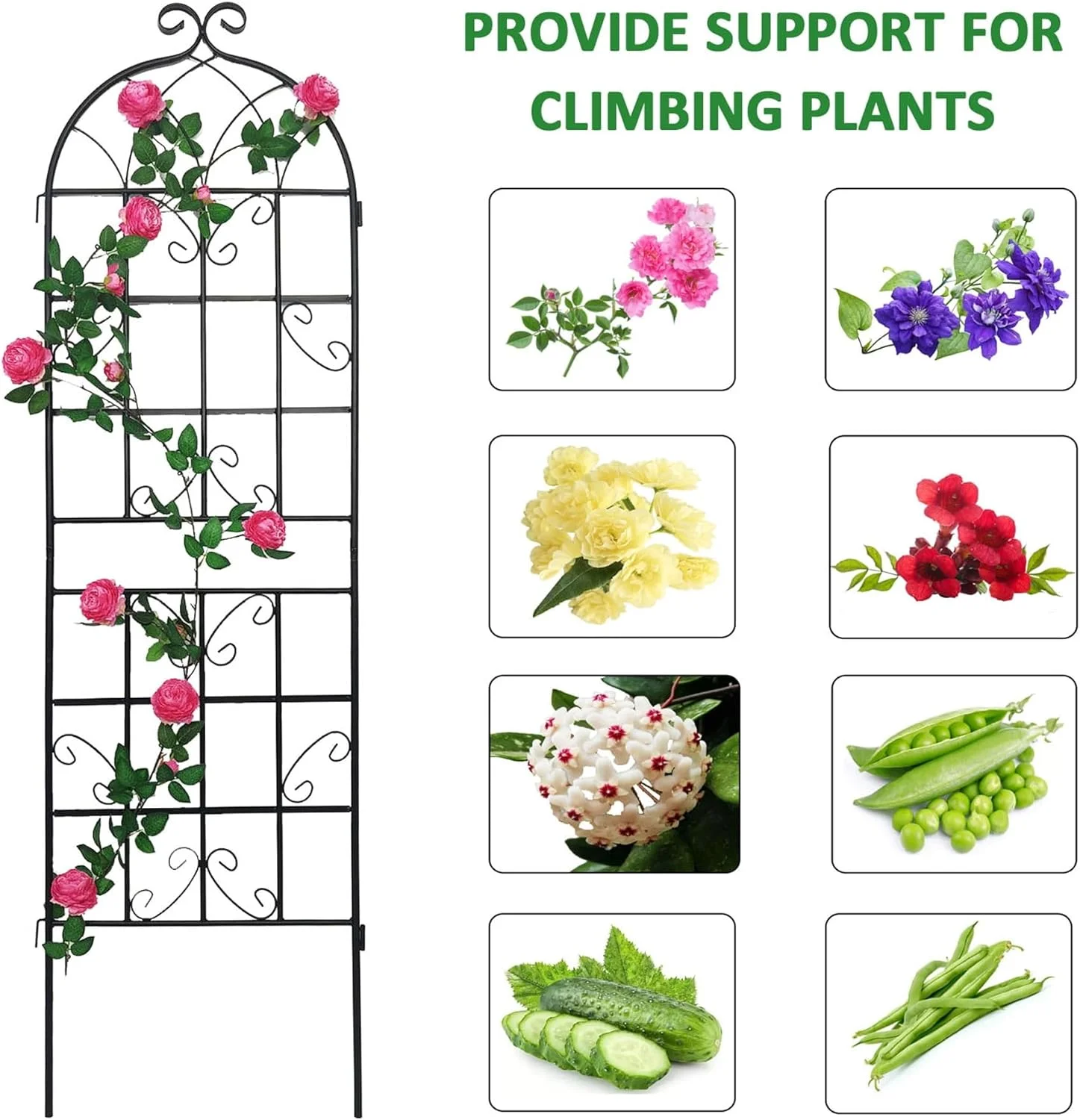 2 Pack Large Garden Trellis 71