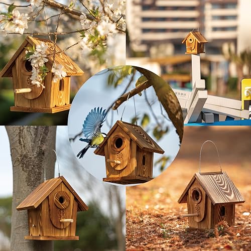 Bird Houses for Outside,DIY Kit for Adults & Kids,Solid Mortise & Tenon Structure,Carbonized for Durability and Aesthetic Appeal,Easy to Clearance,Paint Kit Included