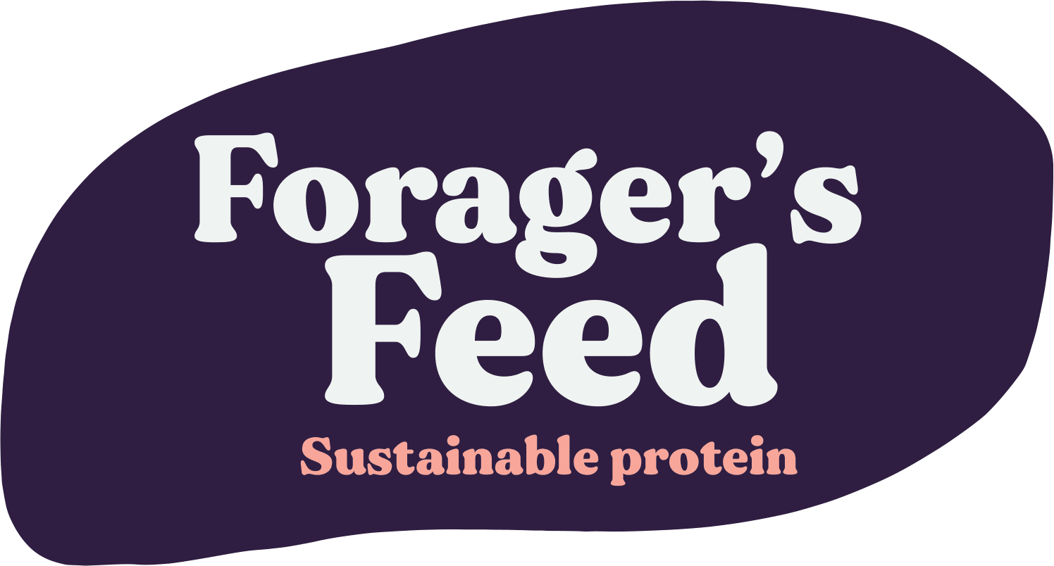 Herb Garden Chicken Treat - Black Soldier Fly Larvae with Herbs, Flowers & Seeds 2 Lbs.