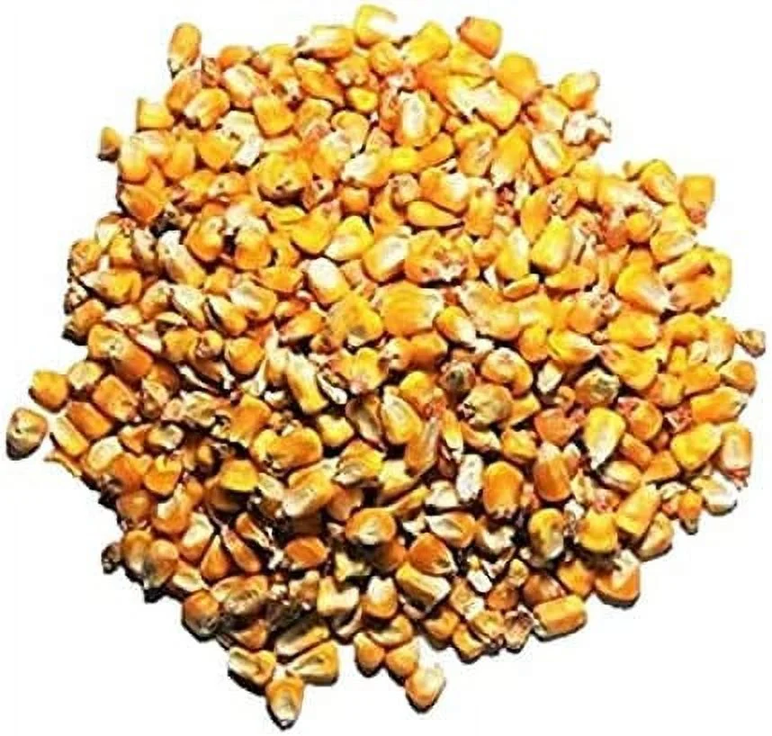 Woody's Whole Corn - Wild Bird/Deer Feed(10LB)
