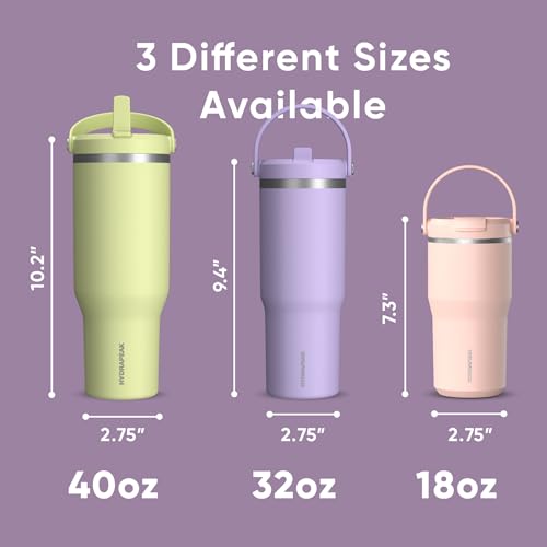 Hydrapeak Nomad 24 oz Tumbler with Handle and Straw Lid, Leakproof, Double Insulated, 24oz Cup Stainless Steel (Blush)