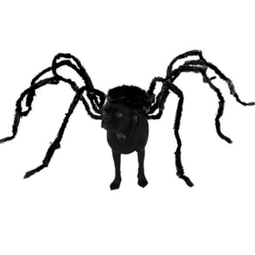 Halloween Pet Attire, Cross Dressing Sets, Dog Clothing, Cat Accessories (XX-Large, Spider-Long Legs)