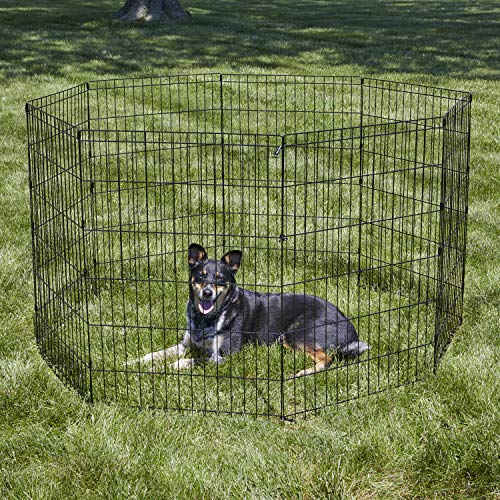 New World Folding Metal Puppy/Dog Exercise Pen, Indoor/Outdoor Playpen with No Door, Provides 16 Sq Feet of Play Space, 24-Inches Tall, Black E-Coated
