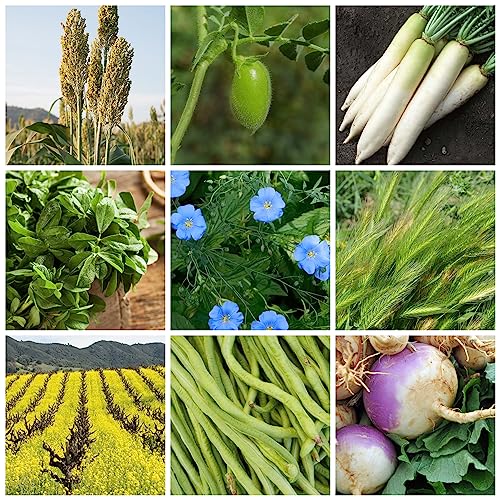 No-Till Forage Friendly Cover Crop Seed Mix – 5 lb, Covers 1,000 Sq. Ft. – 9 Winter-Kill Varieties for Spring, Summer & Fall – Non-GMO Planting Seeds