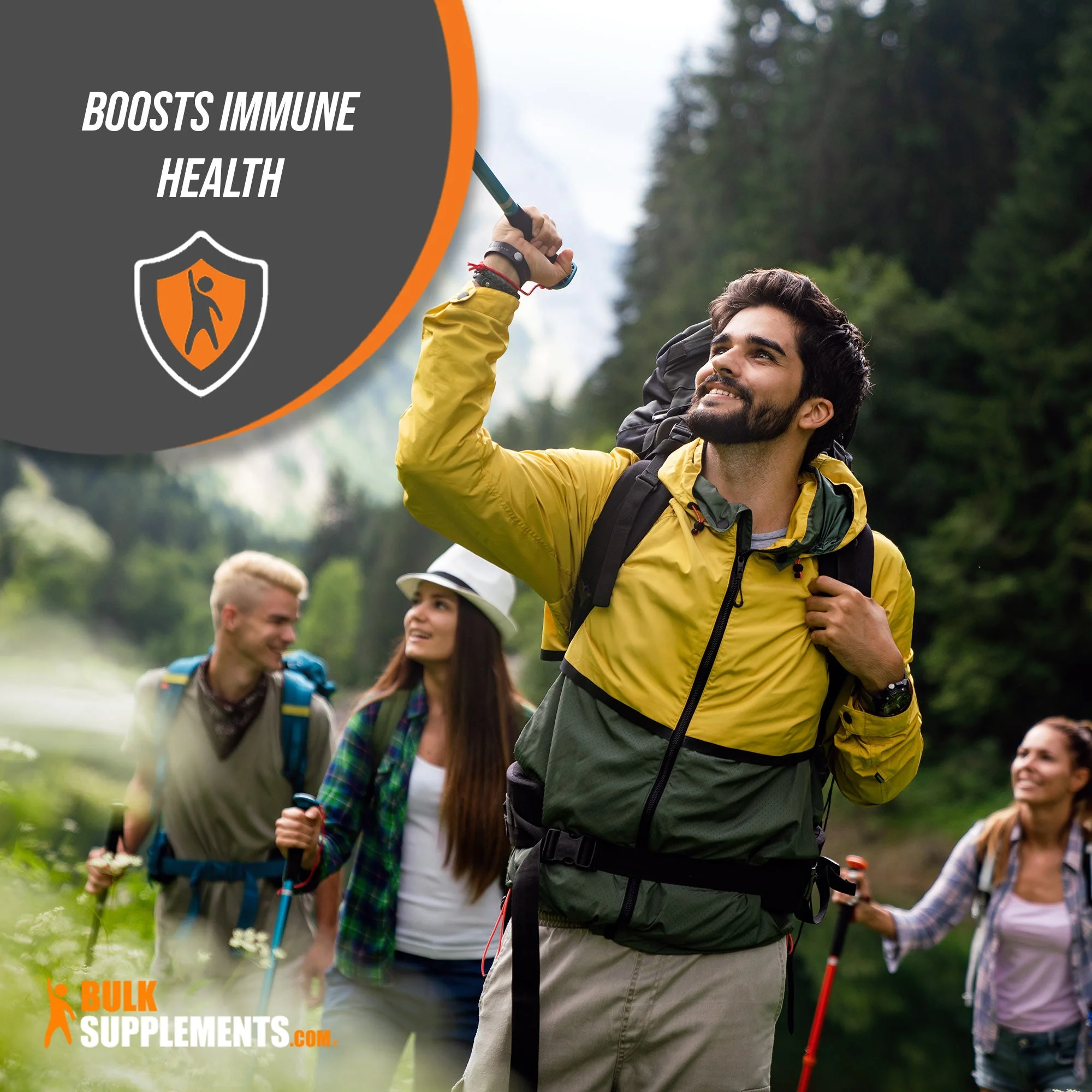 BulkSupplements.com Lion's Mane Mushroom Capsules (360 ct - 180 Servings)