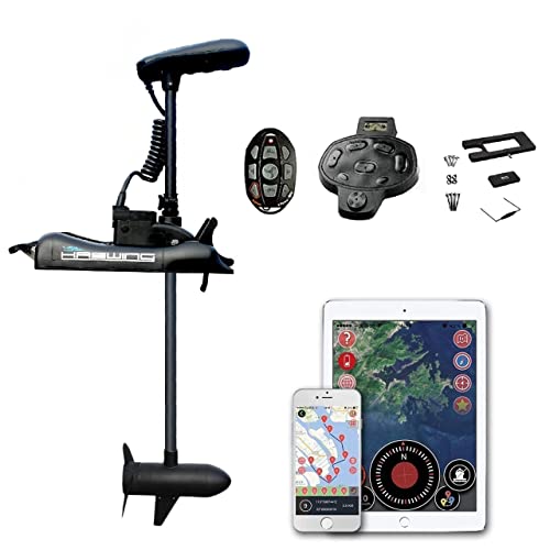 HASWING Boat Electric Trolling Motor – 12V 54