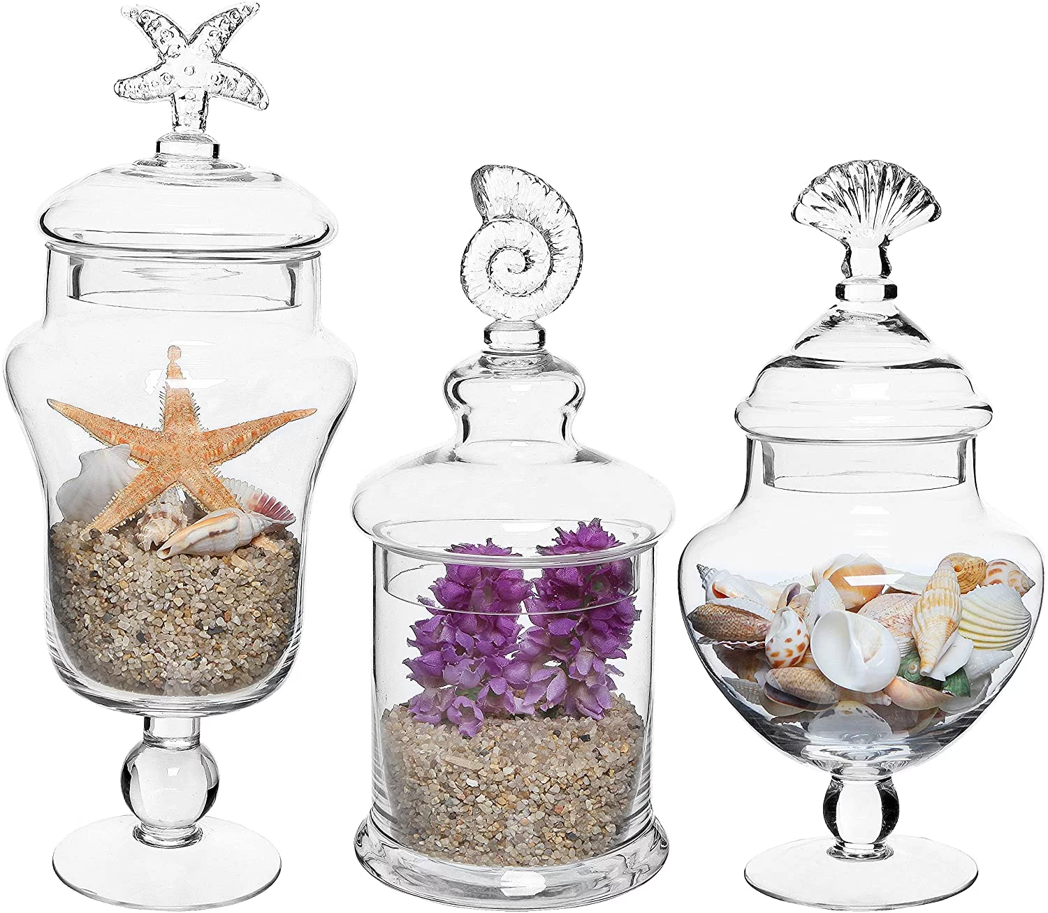 MyGift Clear Glass Set of 3 Seashell Handle Apothecary Jars / Food Storage Canisters