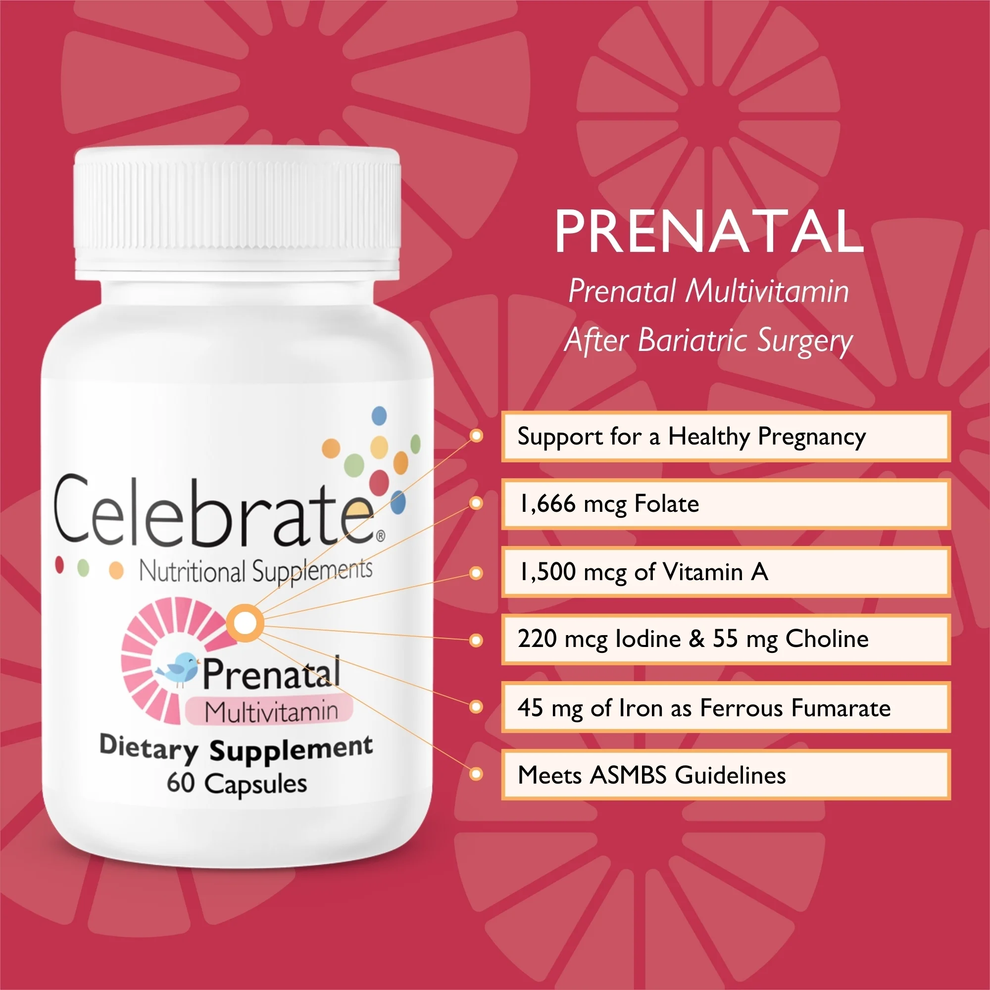Celebrate Vitamins Bariatric Prenatal Vitamins with Folate (Folic Acid), Vitamin A, Iron, and Choline, 60 count