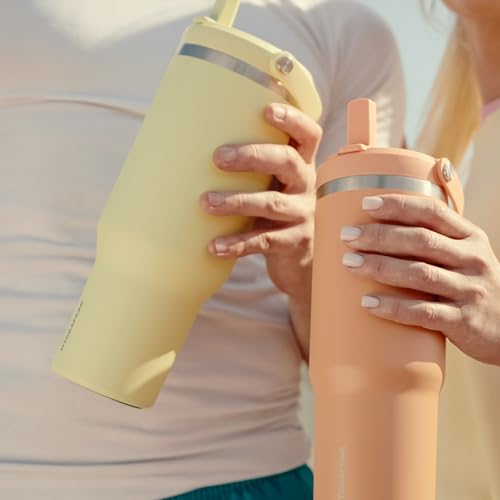 Hydrapeak Nomad 24 oz Tumbler with Handle and Straw Lid, Leakproof, Double Insulated, 24oz Cup Stainless Steel (Blush)