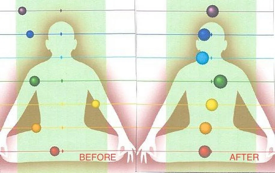 HEDRON EMF Protection and Energy Field Enhancement Device - Premium Body Radiation Shield