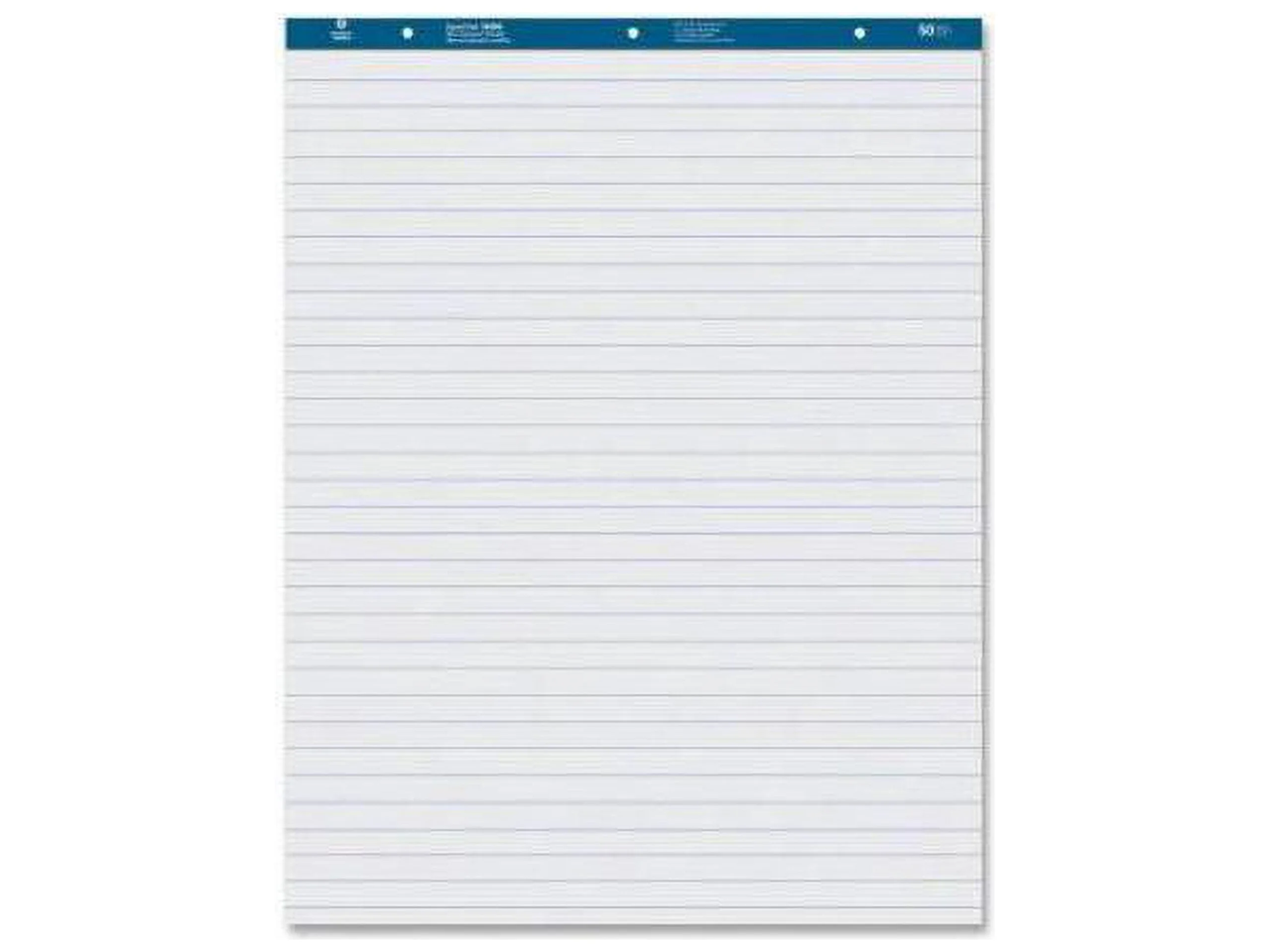 Business Source, BSN38590, Standard Ruled Easel Pad, 2 / Carton