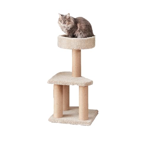 Amazon Basics Cat Tree - Indoor Cat & Kittens Multi-Level Climbing Activity Tower with Scratching Posts, Large (45.9