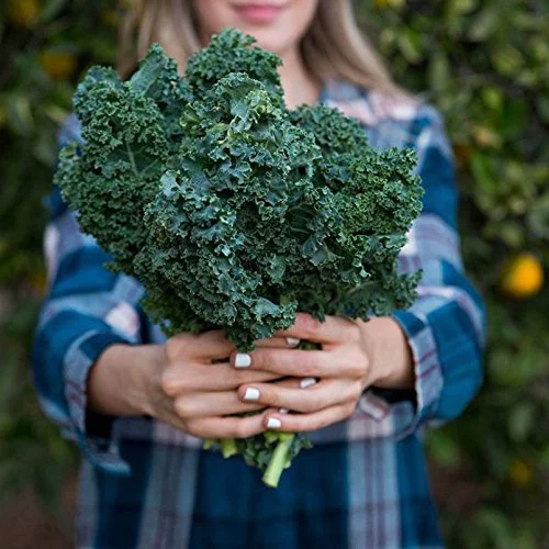 Amazing Grass Amazing Grass  Nutrition Shake, 19.6 oz