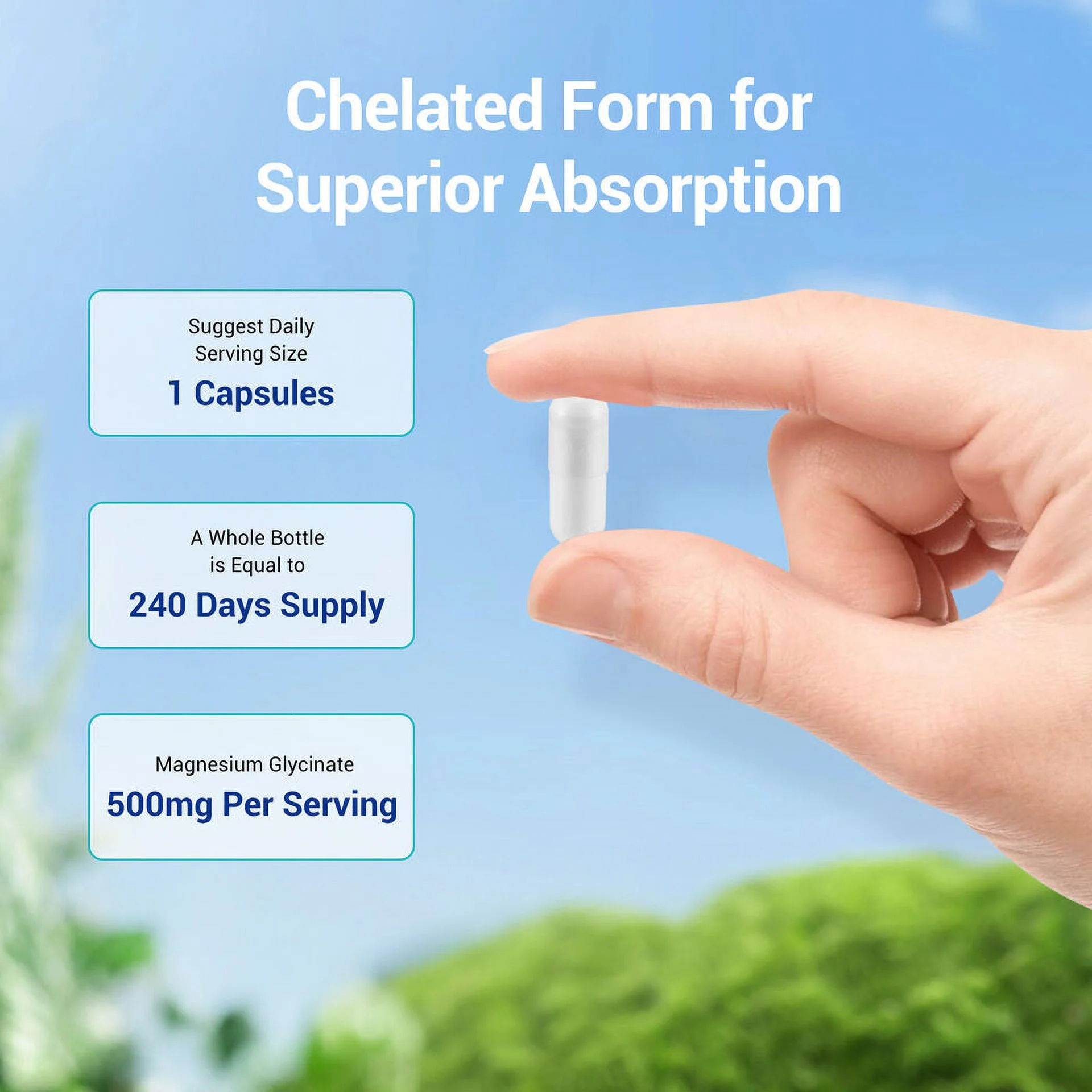 Magnesium Glycinate 1330mg 250 Capsules