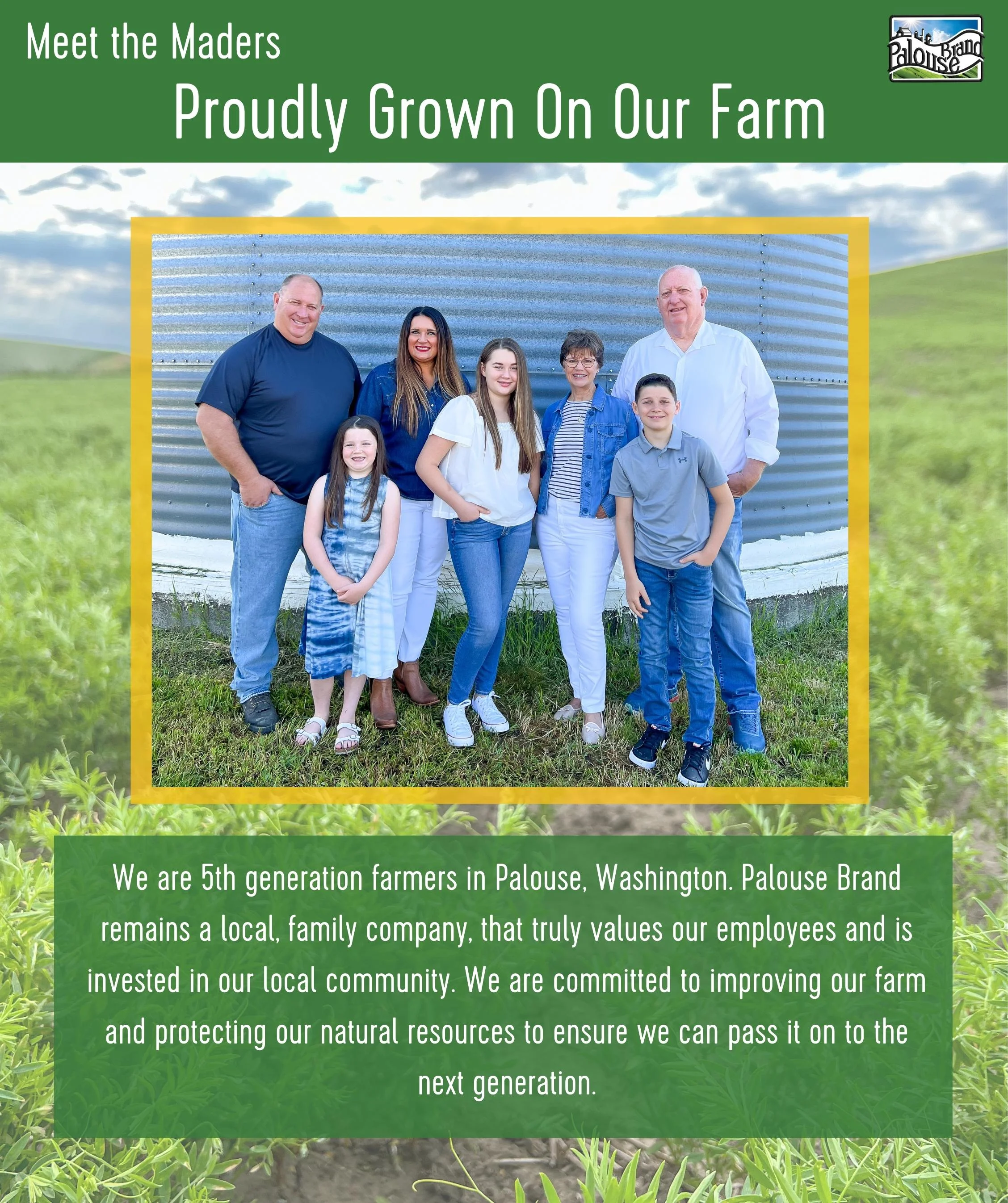 Emergency Legume Bucket Supply | 75 LBS | Chickpeas, Lentils and Green Split Peas [25 lbs each]