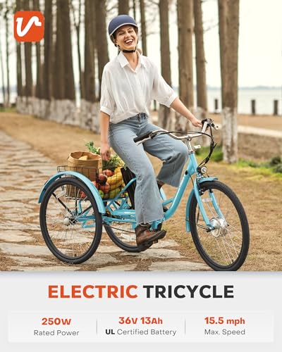 Viribus Electric Tricycle for Adults, 24 inch Electric Trike 250W(Peak 500W) with 468Wh Removable Battery, Motorized Adult Tricycle, 3 Wheel Electric Bike for Seniors, E Trikes 330 lb.