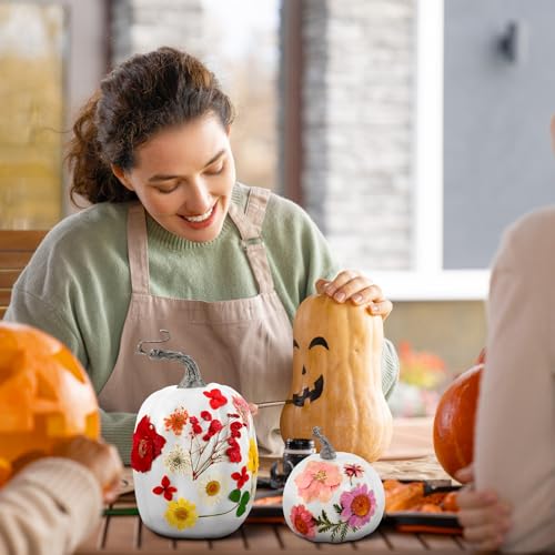 Pinkunn 12 Pcs White Artificial Pumpkin and 140 Pcs Dried Flowers with Glue & Brush Foam Pumpkins DIY Crafts Kit Autumn Decor for Fall Book Club Night, Thanksgiving, Halloween, Weddings