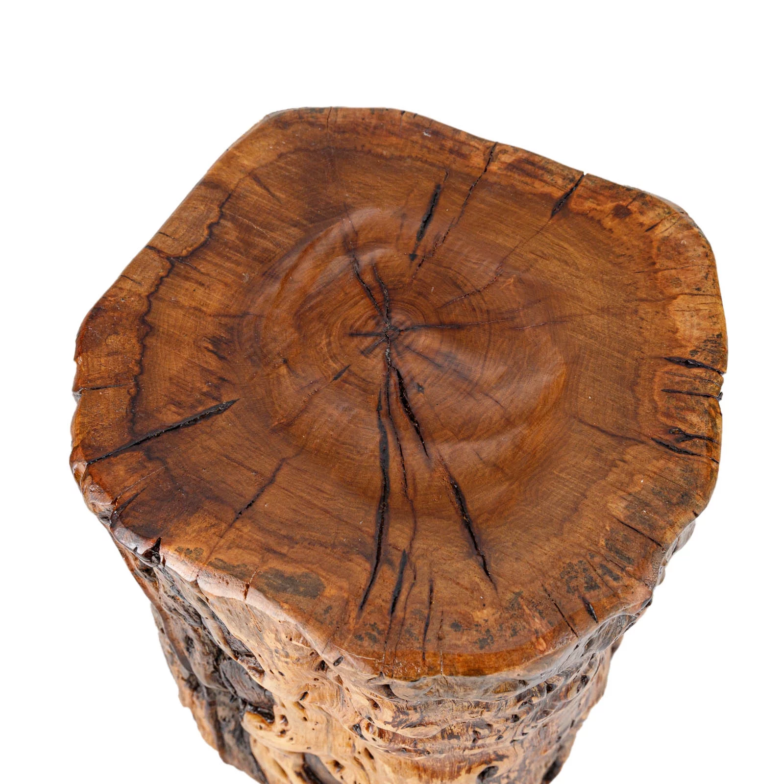 THY COLLECTIBLES Natural Tree Trunk Stump Stool with Live Edge Solid Wood Plant Stand, Stool, Garden Bench, Side Table, End Table - D8.6 in x H9.5 in
