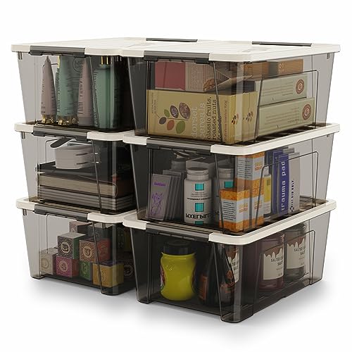 WYT Clear Storage Latch Bins, 6-Pack Storage Organizer Box with Handle and Lids, 5-Litre