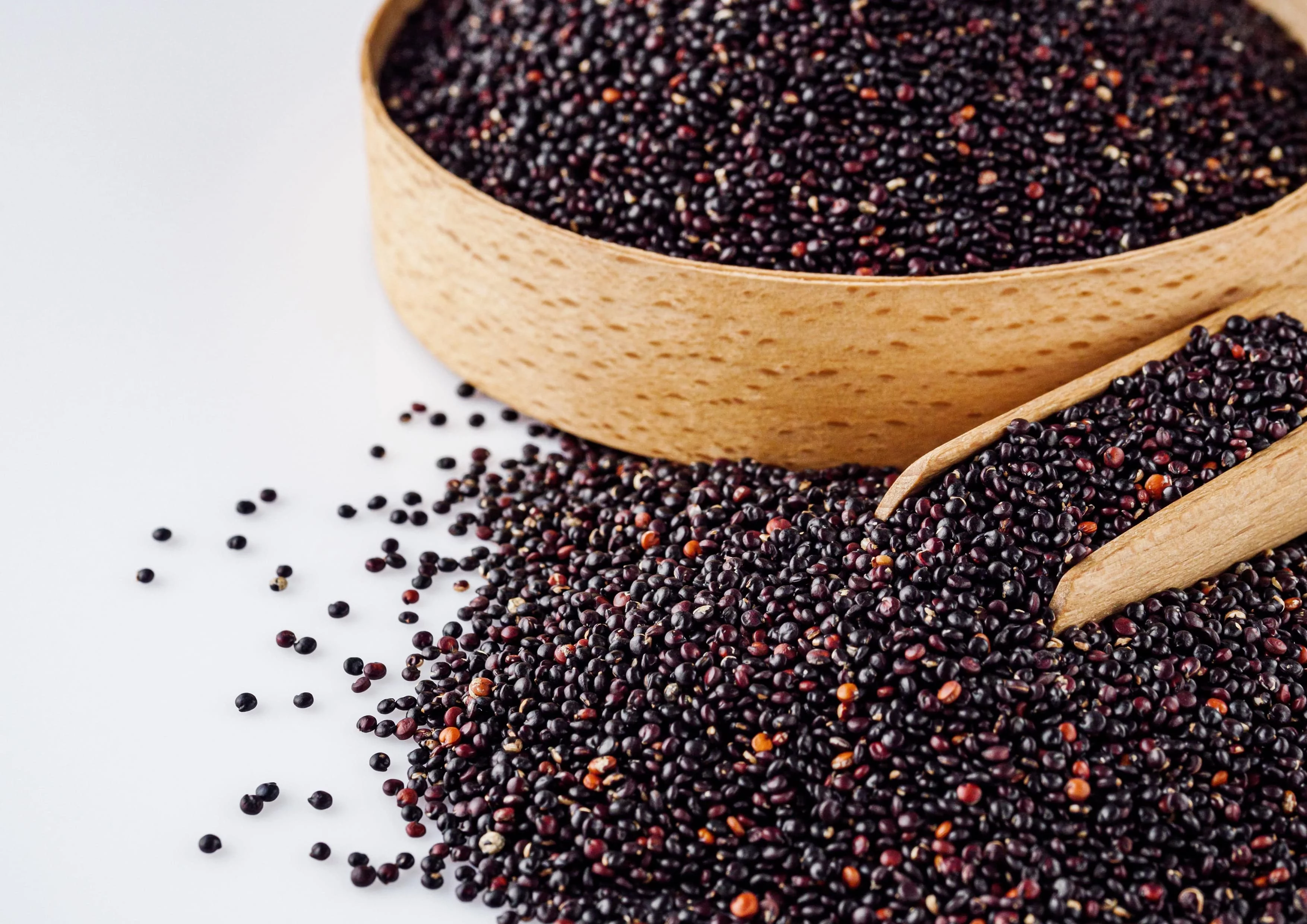 Black Quinoa, 10 Pounds — Raw, Sproutable — by Food to Live