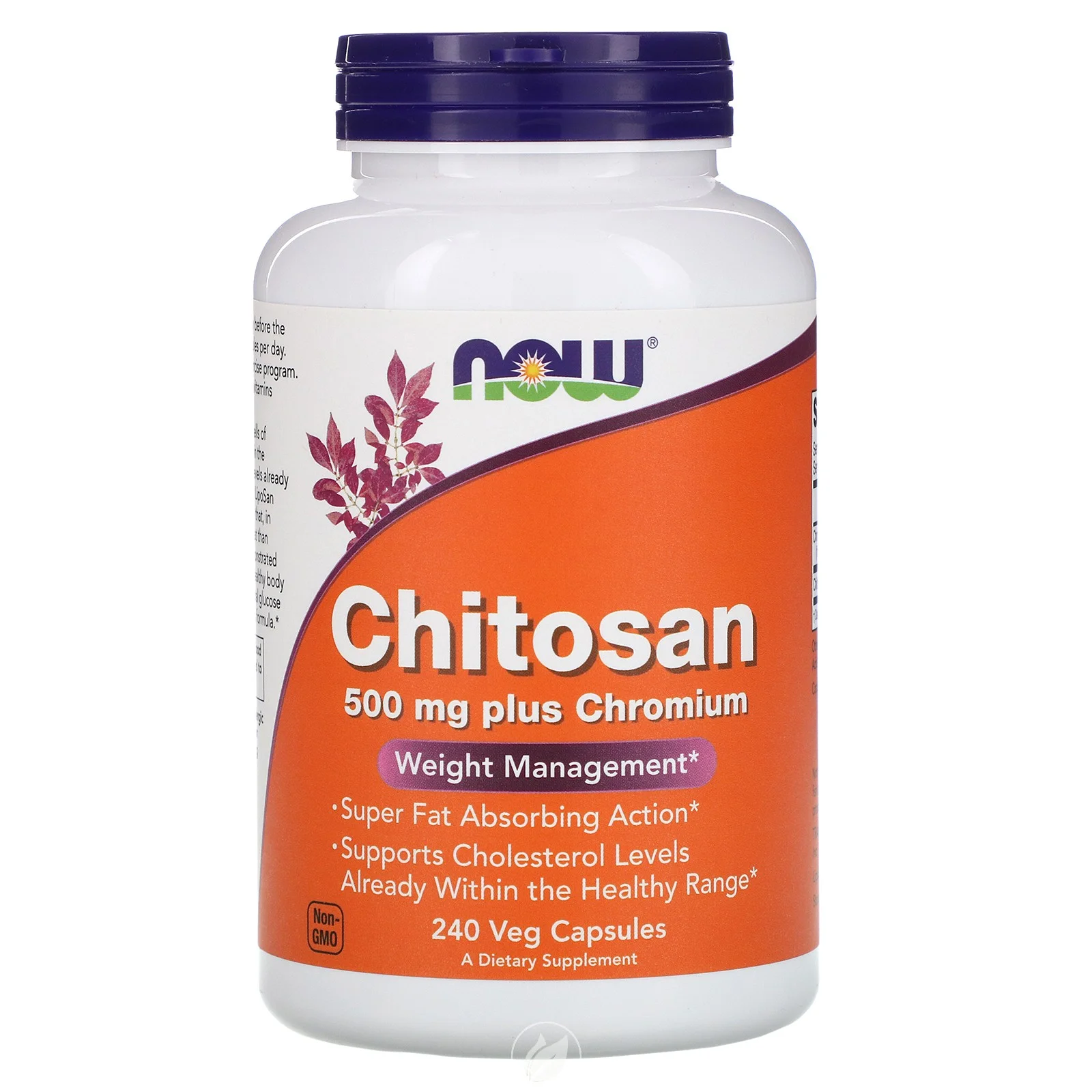 (4 Pack) Now Foods Chitosan 500mg, 240 caps