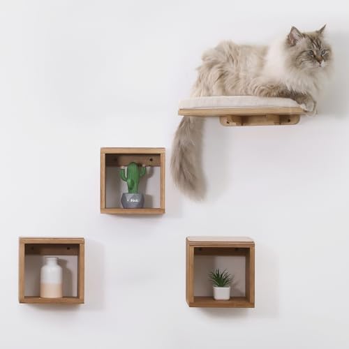 Cat Wall Furniture - Set of 4 Shelves Steps and Floating Mounted Bed, Wall Tree and Platform Walkways for Large Climber Cats. for cat nap, obstacle course indoor, and room accessories